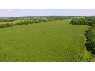 Property photo 4 - LAND AUCTION - 220+/- ACRES IN 7 TRACTS/3 FARMS IN LAGRANGE & STEUBEN COUNTIES, INDIANA